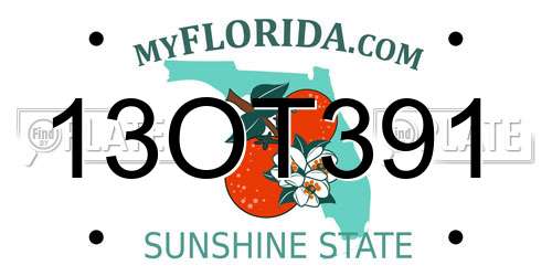 13OT391 Florida License Plate
