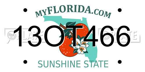 13OT466 Florida License Plate