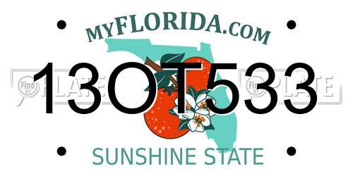 13OT533 Florida License Plate