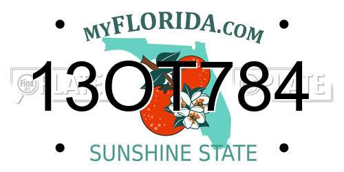 13OT784 Florida License Plate