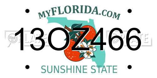 13OZ466 Florida License Plate