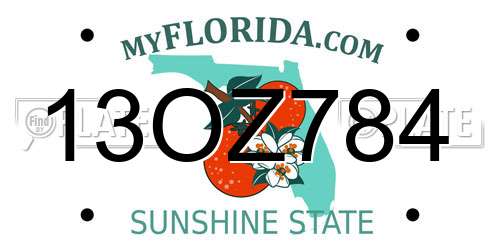 13OZ784 Florida License Plate