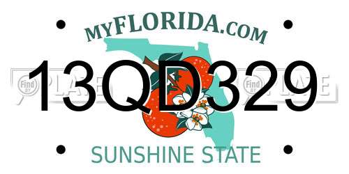 13QD329 Florida License Plate