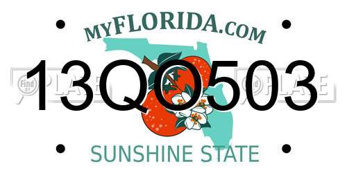 13QO503 Florida License Plate