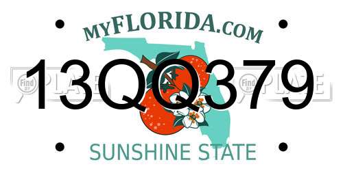 13QQ379 Florida License Plate