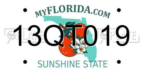 13QT019 Florida License Plate