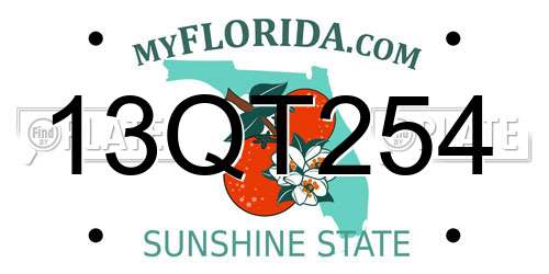 13QT254 Florida License Plate