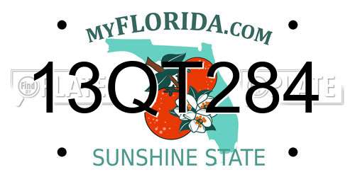 13QT284 Florida License Plate