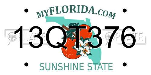 13QT376 Florida License Plate