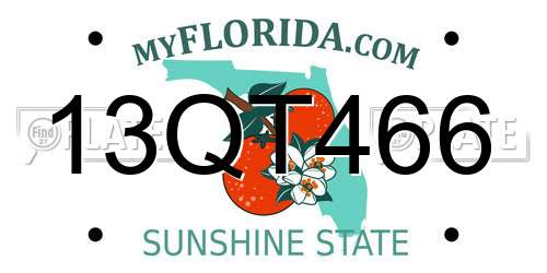 13QT466 Florida License Plate