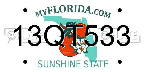 13QT533 Florida License Plate
