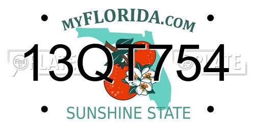 13QT754 Florida License Plate
