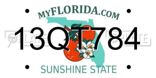 13QT784 Florida License Plate