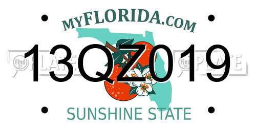 13QZ019 Florida License Plate