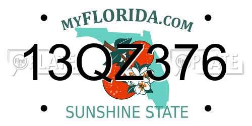 13QZ376 Florida License Plate