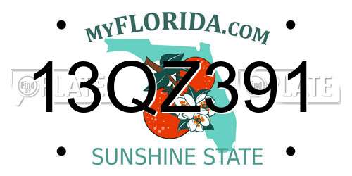 13QZ391 Florida License Plate