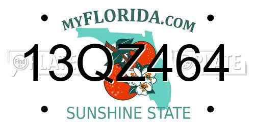 13QZ464 Florida License Plate