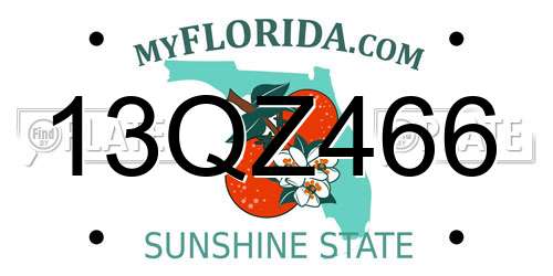 13QZ466 Florida License Plate