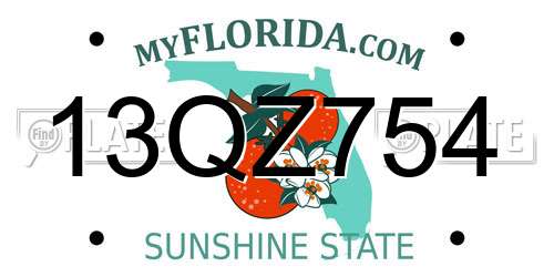 13QZ754 Florida License Plate