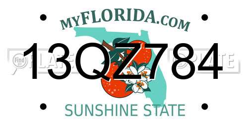 13QZ784 Florida License Plate