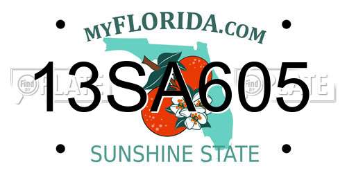 13SA605 Florida License Plate
