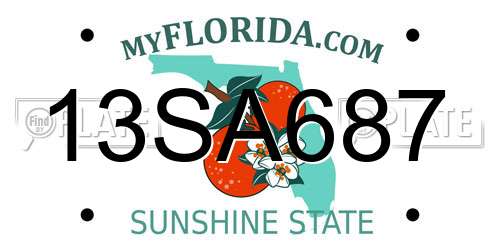 13SA687 Florida License Plate