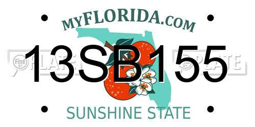 13SB155 Florida License Plate