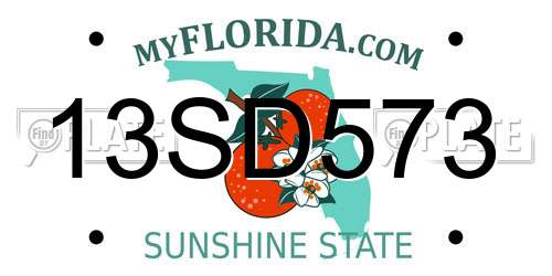 13SD573 Florida License Plate