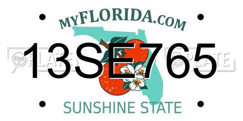 13SE765 Florida License Plate
