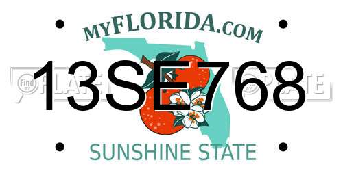13SE768 Florida License Plate