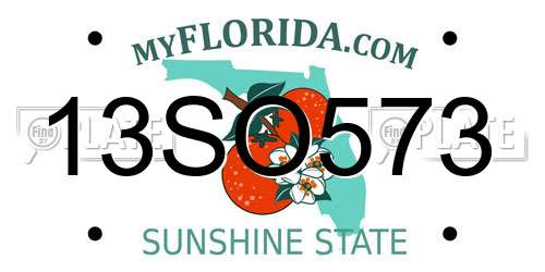 13SO573 Florida License Plate