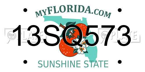13SQ573 Florida License Plate