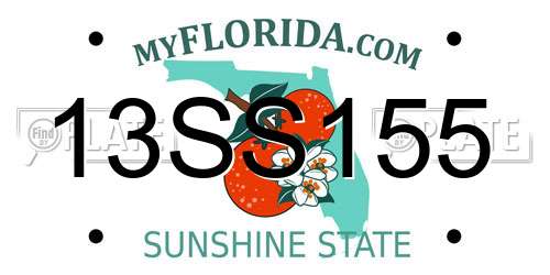 13SS155 Florida License Plate