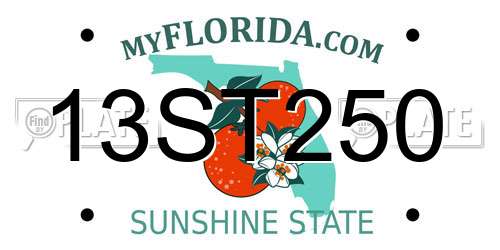 13ST250 Florida License Plate