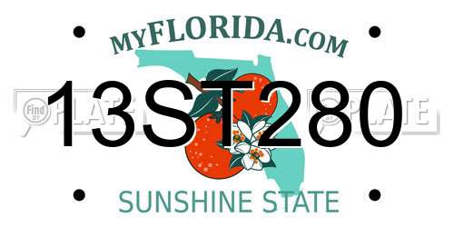 13ST280 Florida License Plate