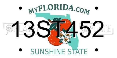 13ST452 Florida License Plate