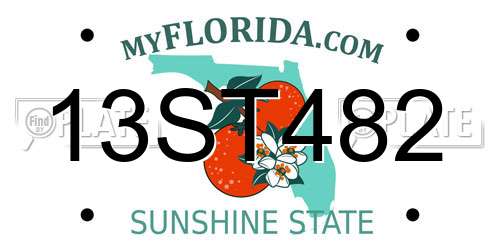 13ST482 Florida License Plate