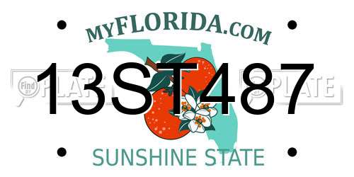 13ST487 Florida License Plate