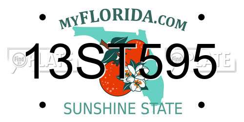 13ST595 Florida License Plate
