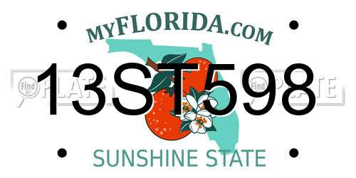 13ST598 Florida License Plate