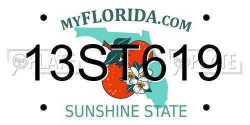 13ST619 Florida License Plate