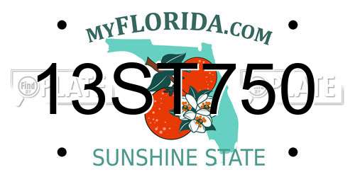 13ST750 Florida License Plate