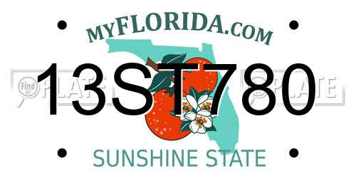 13ST780 Florida License Plate