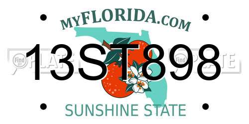 13ST898 Florida License Plate