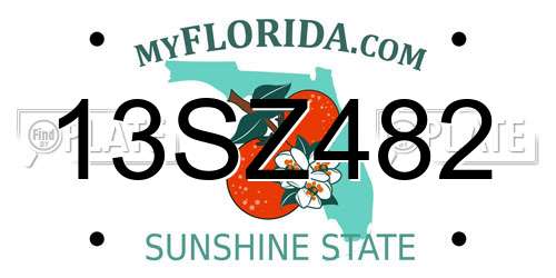13SZ482 Florida License Plate