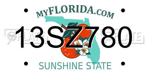 13SZ780 Florida License Plate