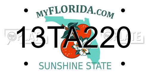 13TA220 Florida License Plate