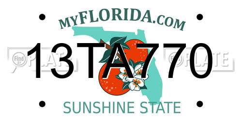 13TA770 Florida License Plate