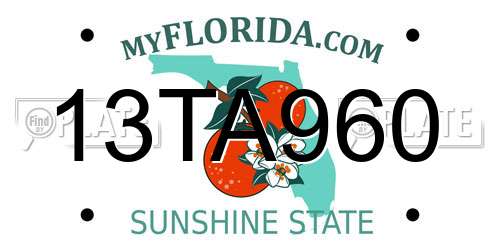 13TA960 Florida License Plate