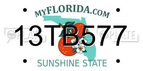 13TB577 Florida License Plate